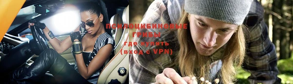 амфетамин Алексеевка