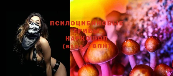spice Алексин