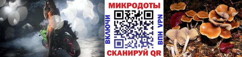 продажа наркотиков  Южно-Сухокумск  Галлюциногенные грибы GOLDEN TEACHER 